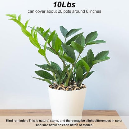 Fish Tank Rocks,Virekm River Rocks, Decorative Ornamental Pebbles Garden Landscaping Stones Gravel Filler for Home Decoration Flower Bed Fish Tank Plants Vases Succulents (10 Pounds)