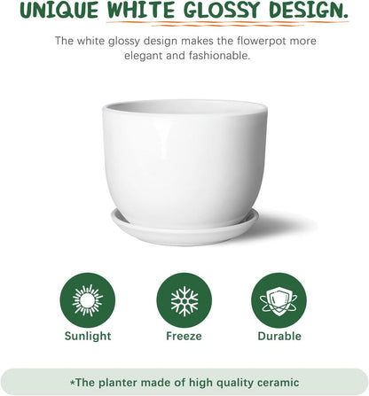 8 Inch Ceramic Planter, Plant Pots with Drainage Hole and Separable Saucer,Indoor-Outdoor Round Succulent Orchid Flower Pot,Indoor pots for Plants(Smooth White,Plant Pot only)