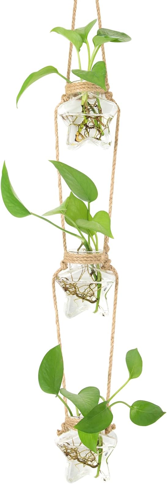 XXXFLOWER Wall Hanging Propagation Station，3 Tired Star Shaped Glass Flower Vase for Hydroponic Planter Terrarium for Plant Cutting Home Office Living Room Garden Decor