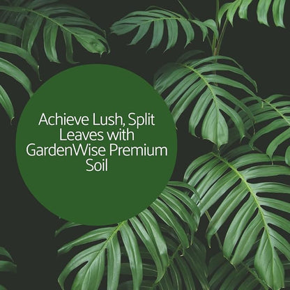 Monstera Potting Soil Mix – Organic, Fast-Draining, Chunky Soil with Coconut Coir & New Zealand Bark for Indoor Plants – Premium Fertilizer for Monstera Deliciosa, Albo & More (3 quarts)