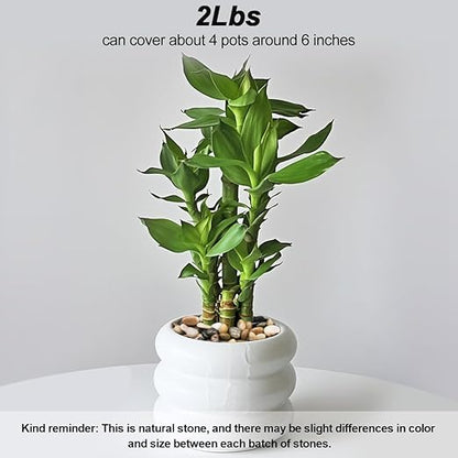 Succulent Rocks,Virekm River Rocks, Decorative Ornamental Pebbles Garden Landscaping Stones Gravel Filler for Home Decoration Flower Bed Fish Tank Plants Vases Succulents