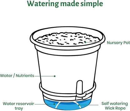 20 Pack 5 Inch Clear Self Watering Plant Pots with Bottom Water Tray & Watering Rope, Transparent Nursery Pots with Drainage for Seedlings, Herbs, and Houseplants