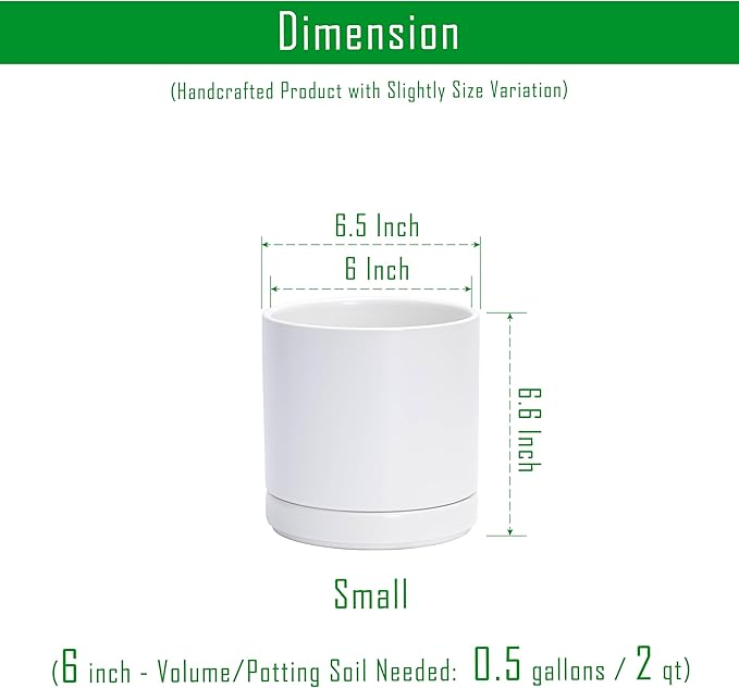 D'vine Dev Set of 2 Plants Pots, 6.5 Inch Ceramic Planter Pot for Plants with Drainage Hole and Saucer, White, 94-V-C-1