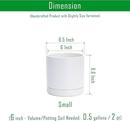 D'vine Dev Set of 2 Plants Pots, 6.5 Inch Ceramic Planter Pot for Plants with Drainage Hole and Saucer, White, 94-V-C-1