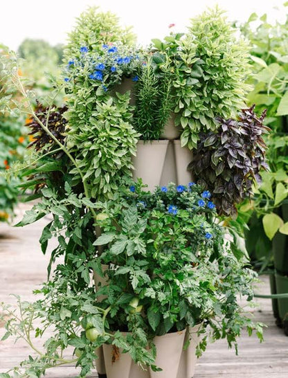 Greenstalk Patented Large 5 Tier Vertical Garden Planter with Patented Internal Watering System Great for Growing a Variety of Strawberries, Vegetables, Herbs, & Flowers (Stunning Stone)