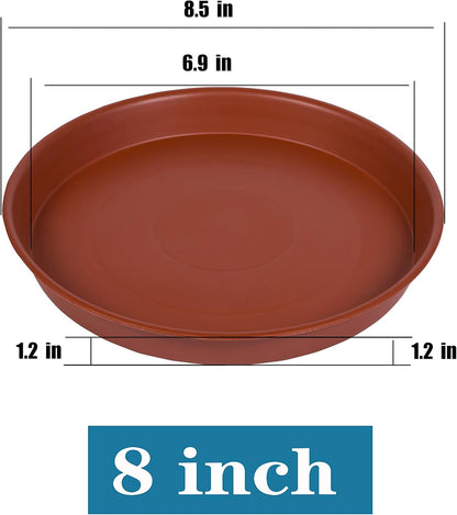 2 Pack of 8 inch Plant Saucer, Bird Bath Bowl 8 inch, Plant Dishes Saucer, Flower Plant Water Trays for Indoors, Plate for Planter 7-9" (8 inch, Terracotta)
