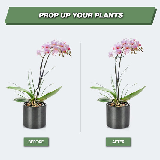 Joyhalo 12 Pack Plant Support Stakes 24 Inch, Plant Stakes, Flower Stakes with 24 Twist Ties, Garden Sticks for Plants Iris, Dahlia, Gladiolus, Amaryllis, Rose, Sunflower, Tomato, Sapling Etc