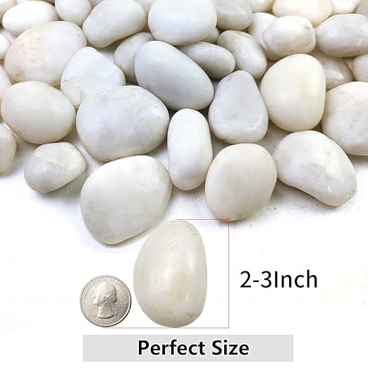 10lbs White River Rocks, 2-3 Inch Natural Pebbles for Indoor Plants, High Polished Decorative Stones Vase Filler Fish Tank Aquariums Landscaping Garden Outdoor and Indoor DIY