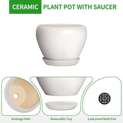 Deep Dream 10 Inch Plant Pot- Ceramic Planter Pot Round Plant Pots for Indoor Plants Outdoor Large Flower Pot with Drainage Holes & Trays, White
