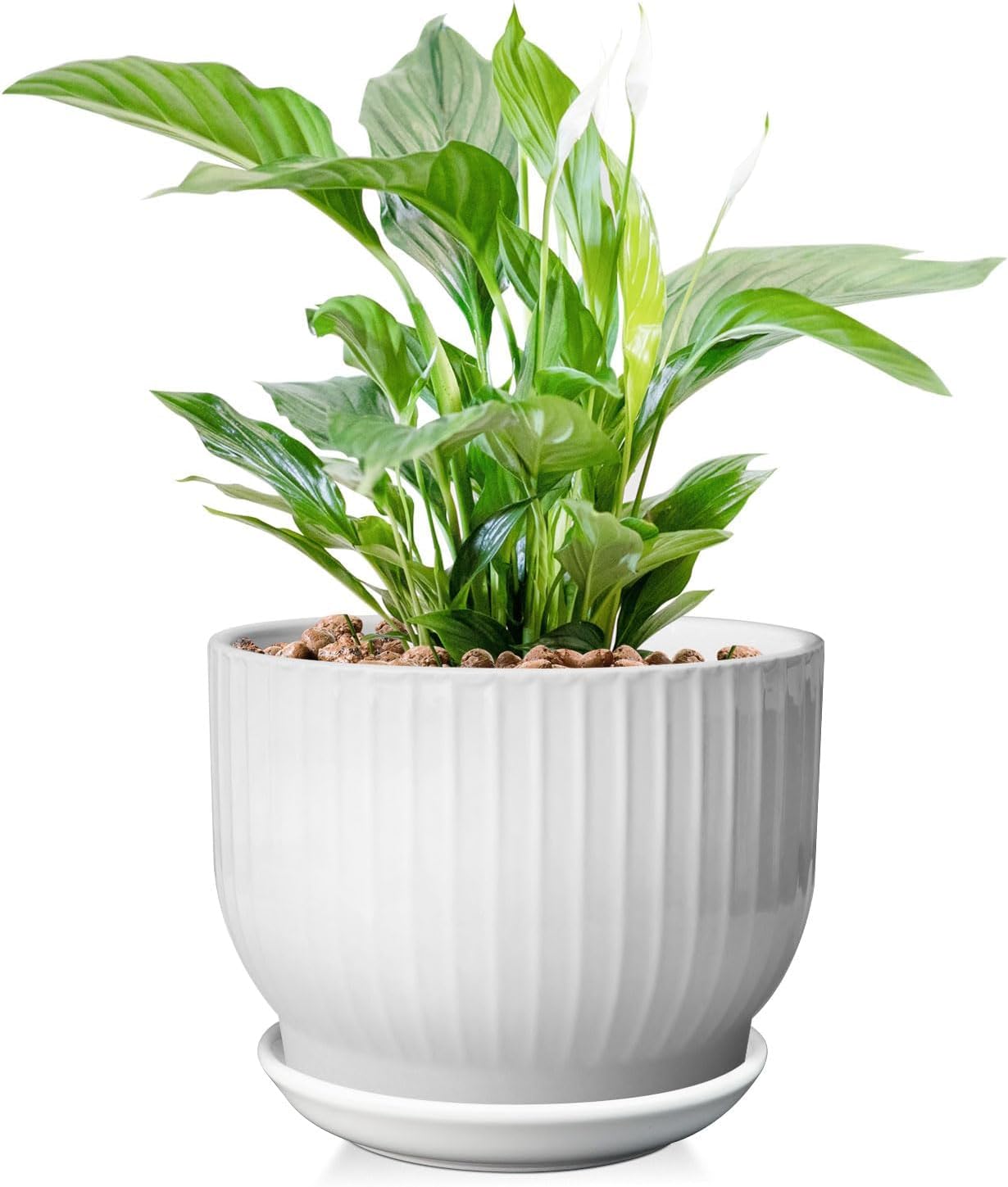 8 Inch Plant Pot,Ceramic Planter with Drainage and Saucer,Ceramic Pots for Plants,Indoor Plant pots,Ceramic Flower pots(Pure White, Plants NOT Included)