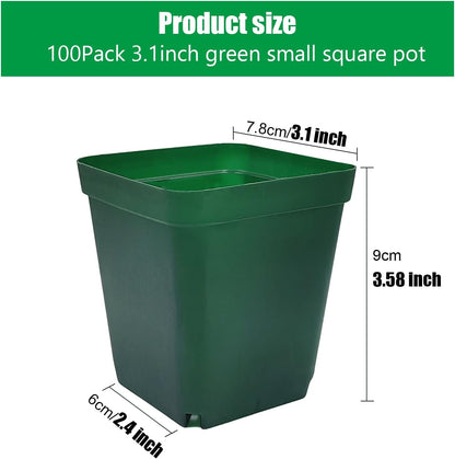 Square Seedling Nursery Pots 3.15 Inches 100 Pcs for Small Succulents or Cacti Flower Plastic Pots Sturdy Reusable (Green, 3.14Inches,100Pcs)