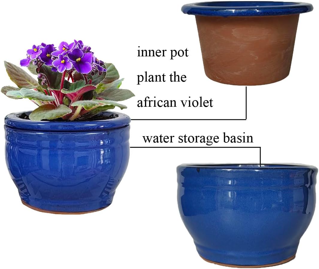 African Violet Pots Self Watering Round Ceramic Violet Pot (Blue, 6 inch)