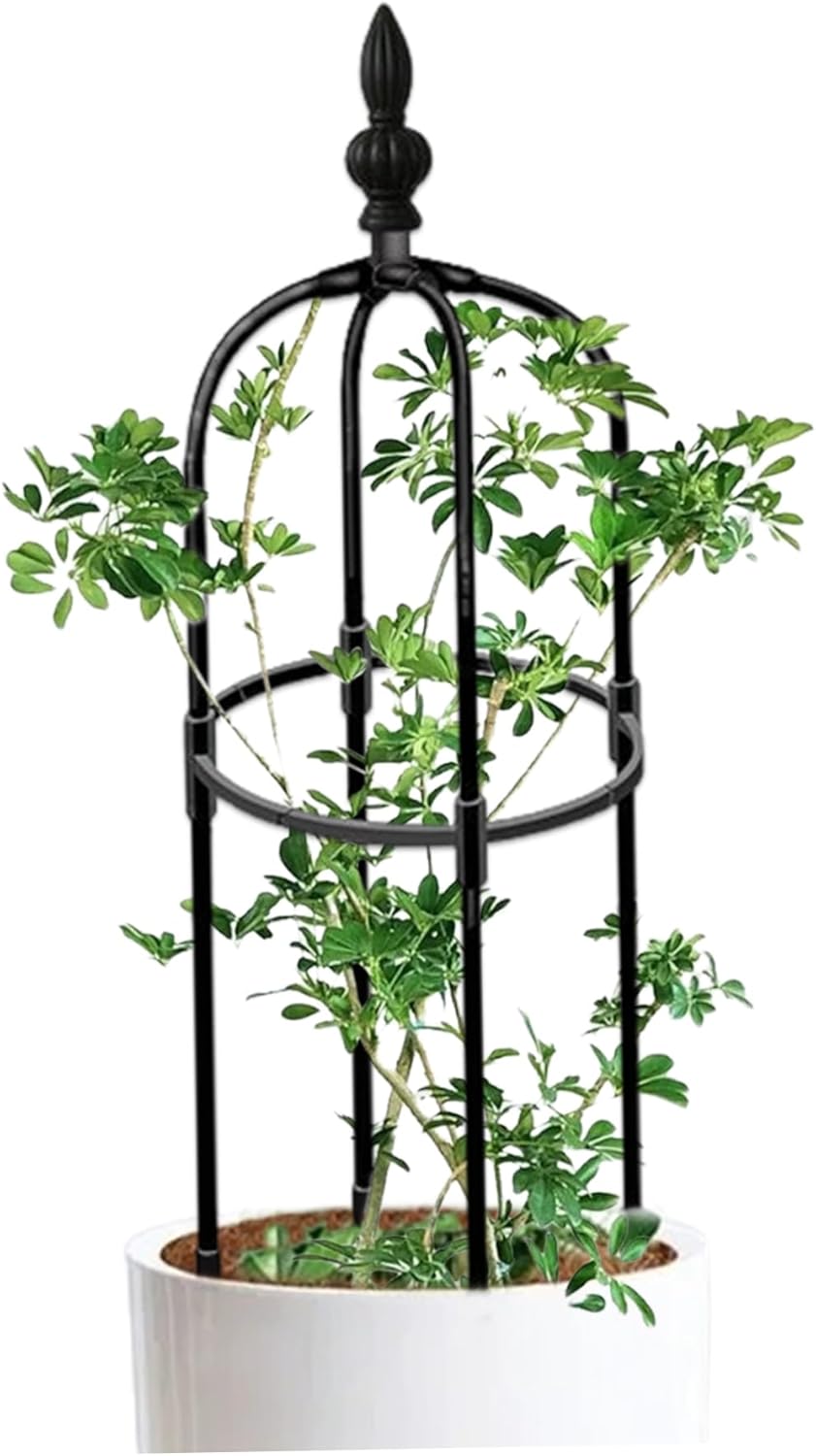 Garden Obelisk Trellis 3ft Tall Round Rustproof Garden Trellis DIY Plant Climbing Easy to Assemble Plant for Pots Indoor Climbing Plants Obelisk