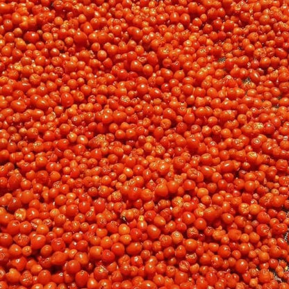 Chiltepin Pepper Plant, 4 Inch Pot, 6-10 Inch Red Hot Pepper Plants Live for Planting Outdoor