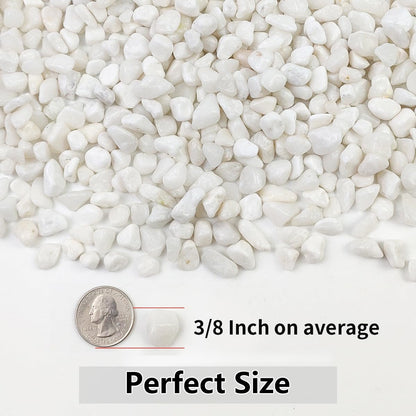 2LB Succulent and Cactus Gravel Pebbles, 3/8 Inch Natural Decorative Polished Stones, River Rocks for Plants, Vases, Aquariums, Terrarium and Outdoor Gardening, White