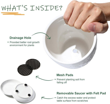 Sureasy Succulent Pots, 3.5 Inch Flower Pots for Indoor Plants, Small Plant Pots with Saucer & Drainage, Decorative Ceramic Planters for Succulent, Cactus, Set of 4, White