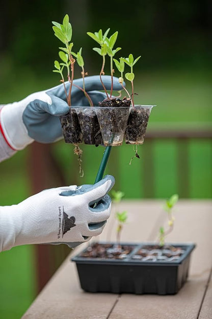 Gardzen 10 Pack Push-Up Seed Starting Tray, Pop Up Plant Germination Trays, Seed Starter Kit with Adjustable Humidity Vented Dome, 6.6" x 4.5", Total 120-Cell, Clear