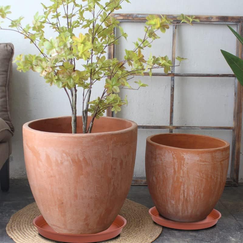 6 Pack of 6 inch Plant Saucer, 4 6 8 10 12 14 16 inch Plant Saucers, Heavy Duty Plastic Plant Water Tray, Planter Drip Trays for Pot, Flower Saucers for Indoors (6 inch, Terracotta)