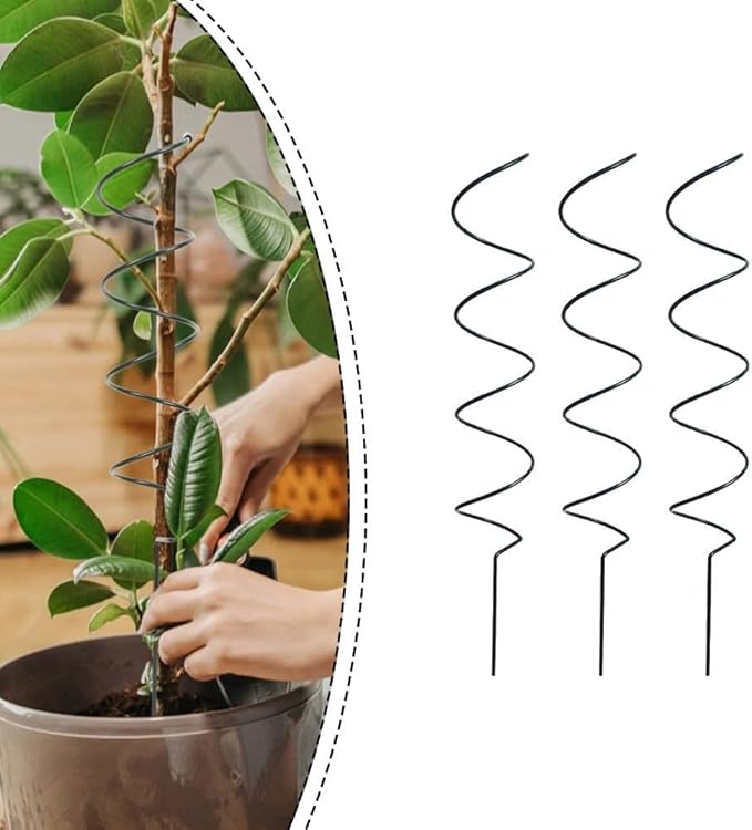 Climbing Plants Support Rack for Tomatoes and Clematis Sturdy Flower Support Stakes for Vertical Growth (B)