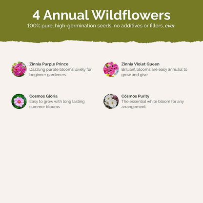 Eden Brothers Purple Rain Flower Mixed Seeds for Planting, 1 lb, 480,000+ Seeds with Zinnia Purple Prince & Violet Queen, Cosmos | Attracts Pollinators, Plant in Spring, Zones 3, 4, 5, 6, 7, 8, 9, 10