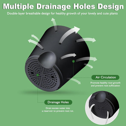 Orchid Pots with Holes, 6 Inch Self Watering Orchid Pot 2 Pack Plastic Plant Pots for Orchid, Flower (Black)