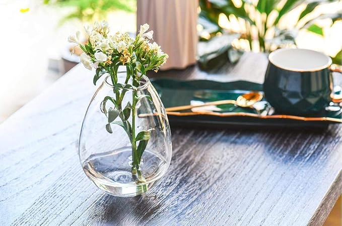 Kingbuy Wall Hanging Propagation Station Glass Plant Terrarium Container Egg Shape for Propagating Hydroponic Plants Home Office Garden Decor Wedding, 2 Pack