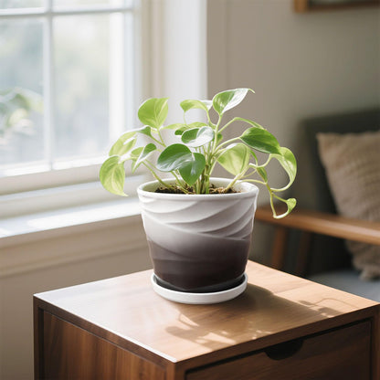 8 Inch Indoor Plant Pot with Drainage Holes and Saucers, Ceramic Planter for Plants, Succulent Orchid Flower Pots(Dark Gray+White)