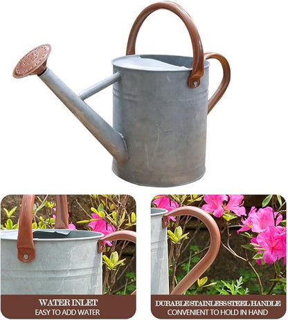 Metal Watering Can, One Gallon Watering Cans Stainless Steel for Outdoor Indoor Garden Plants Watering (Zinc 1 Gallon)