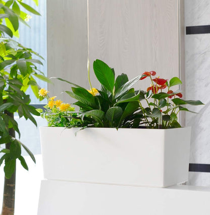 GardenBasix 7.5''x20'' White Self Watering Rectangle Planter Pots with 10 Quarts Coco Soil, Indoor Outdoor, Easy to Observe Water Level, Stylish and Simple
