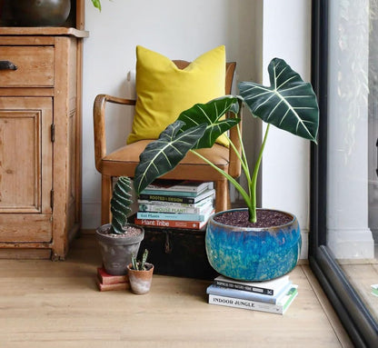 Reactive Glaze Peacock Color 11" Ceramic Plant Pot, Large Blue Green Planter Artisan Flower Pot with Drainage Hole, Breathable Planter for Indoor Outdoor Plants