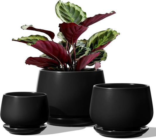 LE TAUCI Plant Pots, 4.1+5.1+6.5 inch, Set of 3, Ceramic Planters with Drainage Hole and Saucer, Indoor Flower Pot with Hole Mesh Pad, Gifts for Mom, Black