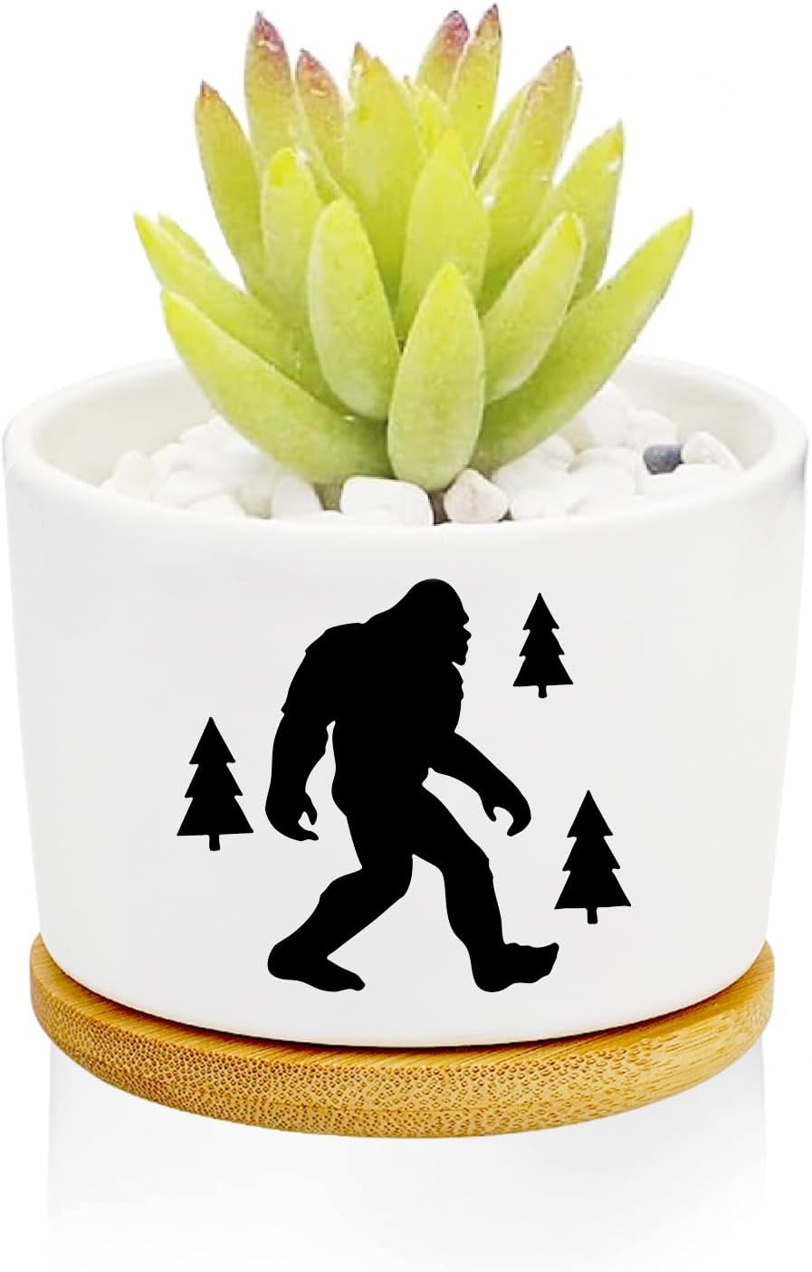 Window Garden Bigfoot Planter Pots,Bigfoot Gifts for Women/Men/Housewarming/Wedding/Festival Birthday Gifts Planter Pots,Outdoors/Indoors,Window Decor,Garden Decor,Yard Decor,Home Decor,Office