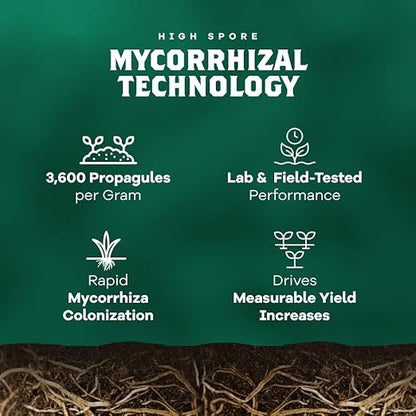 DYNOMYCO Spark WP Mycorrhizal Fungi, 6oz Wettable Powder – 3-In-1 Root Enhancer Amplifies Nutrient Uptake & Yield – Treats 38 Plants, Indoor/Outdoor Bio-Stimulant – Dissolves Fast in Seed Starter Soil