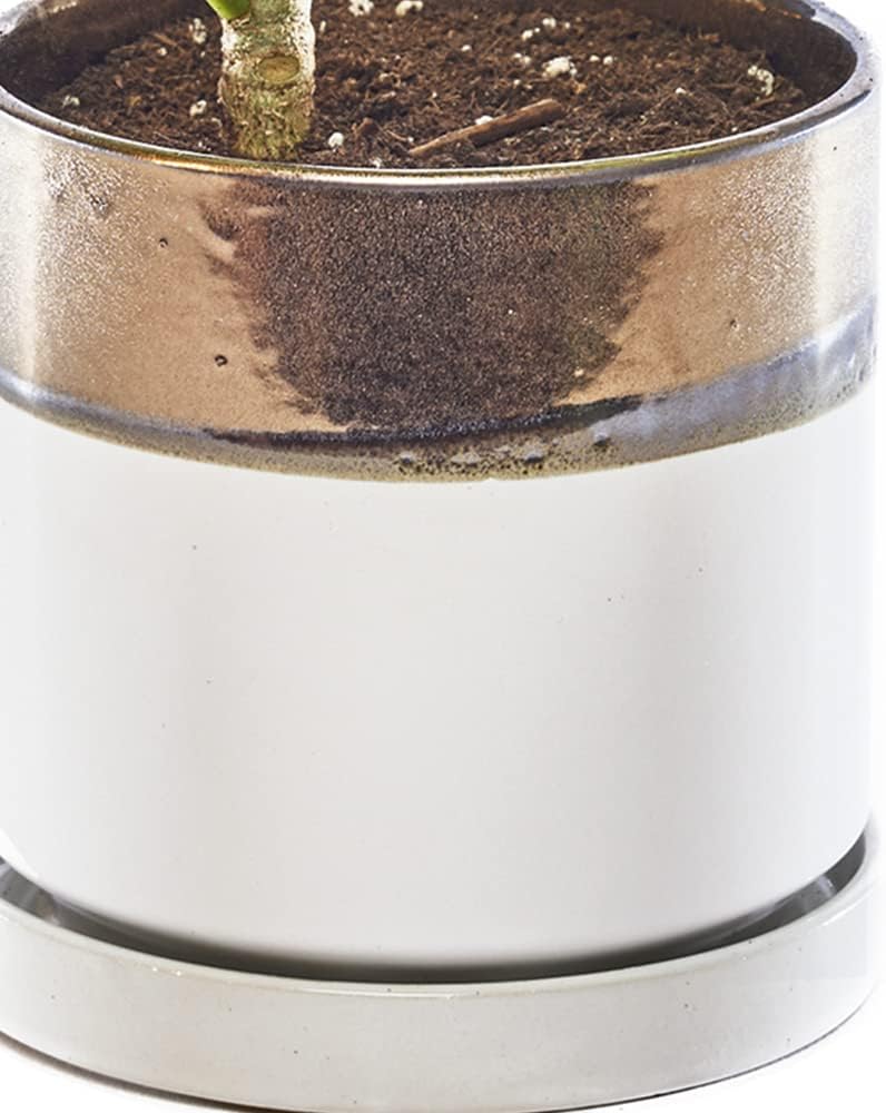 CHIVE ‘Minute’ Ceramic Planter Pot — Cute 5” Colorful Succulent Pots for Indoor & Outdoor House Plants — Beautiful Modern Farmhouse Kitchen Decor — Bronze and White