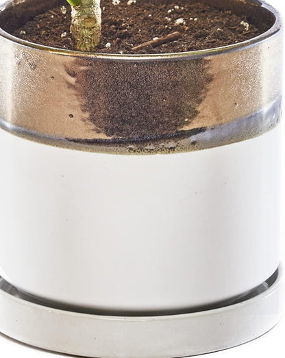 CHIVE ‘Minute’ Ceramic Planter Pot — Cute 5” Colorful Succulent Pots for Indoor & Outdoor House Plants — Beautiful Modern Farmhouse Kitchen Decor — Bronze and White