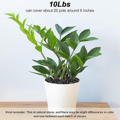 Pebbles for Indoor Plants,Virekm River Rocks,Decorative Ornamental Pebbles,Garden Landscaping Stones Gravel Filler for Home Decoration Flower Bed Fish Tank Plants Vases Succulents (10 Pounds)