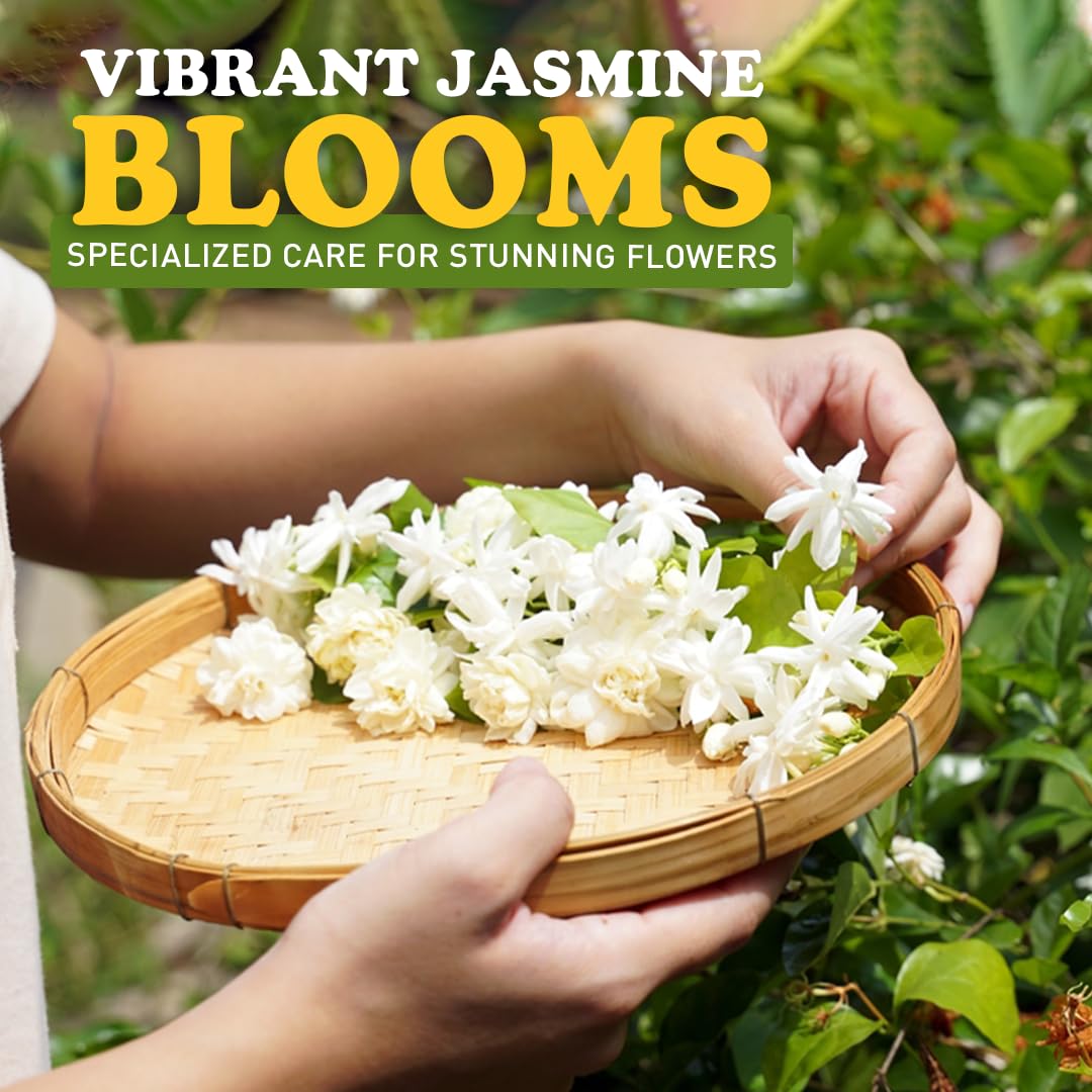 EZ-GRO Professional Liquid Jasmine Fertilizer - 8 oz Bottle | 3:1:2 Concentrated Nutrients for Indoor Plant Food | Houseplant Fertilizer for Jasmine Flowers| Promotes Vibrant Plants & Strong Roots