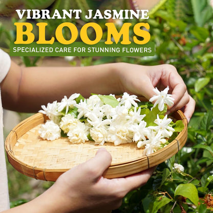 EZ-GRO Professional Liquid Jasmine Fertilizer - 8 oz Bottle | 3:1:2 Concentrated Nutrients for Indoor Plant Food | Houseplant Fertilizer for Jasmine Flowers| Promotes Vibrant Plants & Strong Roots