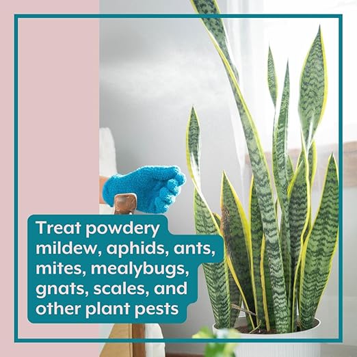 Instant Indoor Plant Care Bundle - Plant Food + Soil ProBiotics + Natural Pest Control Spray Tablets - for HOUSEPLANTS