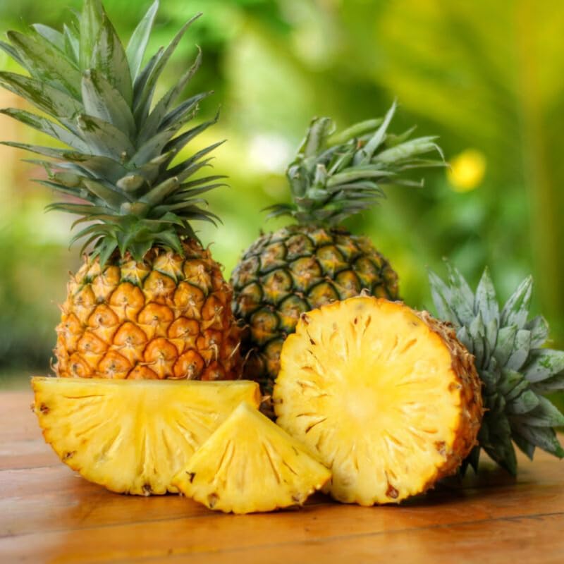 1 Gold Pineapple Plant Live for Planting, Sweet Pineapple Fruit Tree Live Plant 5 to 8 Inch Tall, Pineapple Starter Plants