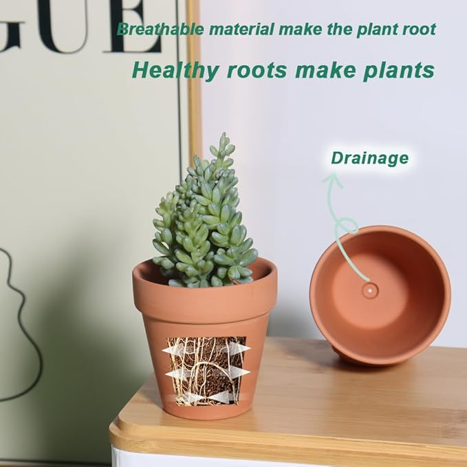 vensovo 3 Inch Terra Cotta & Terracotta Pots with Drainage - 20 Pack Clay Flowerpots, Succulent Nursery Planter Great for Plants, Crafts, Wedding Favor