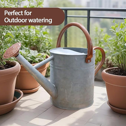 Metal Watering Can, One Gallon Watering Cans Stainless Steel for Outdoor Indoor Garden Plants Watering (Zinc 1 Gallon)