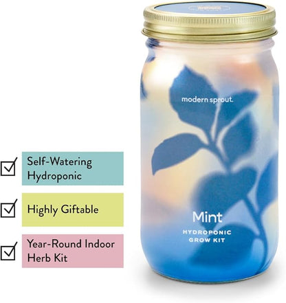 Modern Sprout Mason Garden Jar - Self-Watering Hydroponics Growing System Kit with Organic Herb Seeds - Jar Planter for Indoor Herb Garden - Seed Starter Kit - Home Decor & Gifting - Basil+Mint