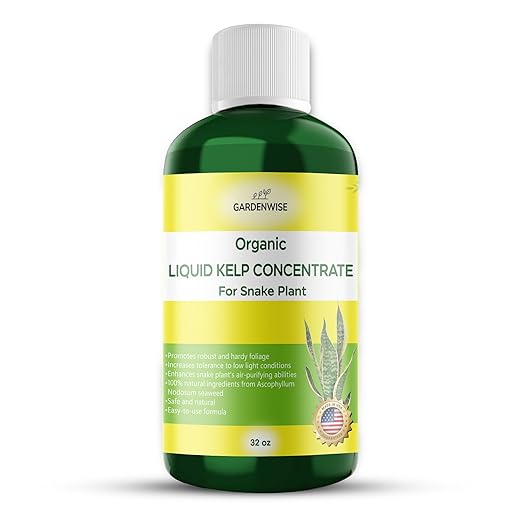 Organic Seaweed Kelp Liquid Fertilizer for Snake Plant (Sansevieria, Dracaena Trifasciata) - Food and Care for Live Plants (32 OZ)