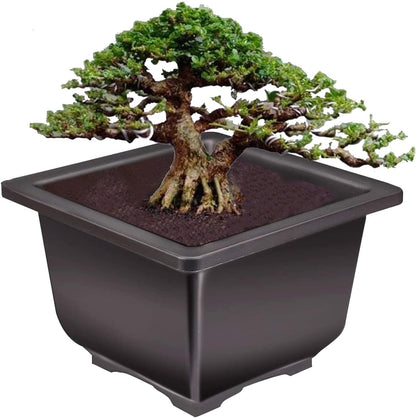 KINJOEK 15 PCS 5.1 Inch Plant Pot, Square Plastic Bonsai Training Pots, Flower Succulent Pots Container for Garden, Indoor, Home Decorative