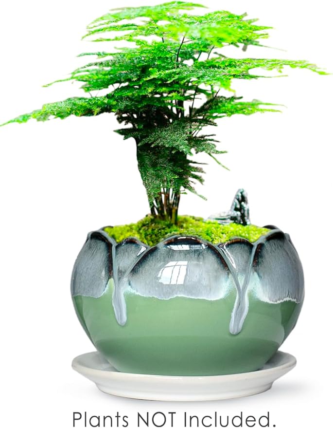 Dahlia 5.5'' Inch Rustic Drip Glazed Ceramic Planter/Succulent Pot/Plant Pot w. Saucer/Tray, Green