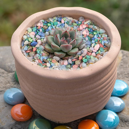 HappyFiller Colored Gravel,Indoor Plants Succulent Cactus Topper Dressing Pebbles,Polished Mini Stones 3-5mm for Aquarium Fish Tank,Fairy Garden Terrarium Decor,Vase Filler,Resin Arts Crafts,0.88 LB