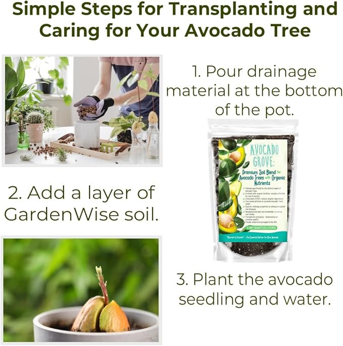 Avocado Tree Soil – Premium Organic Potting Mix for Avocado Trees | Tailored pH & Organic Nutrients | Fast-Draining & Moisture-Retaining | Indoor & Outdoor Use (5 QUARTS)