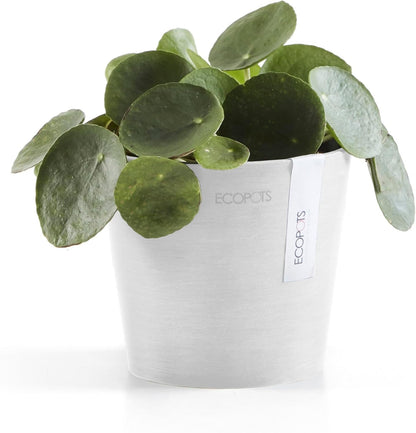 Ecopots Amsterdam Mini Durable Modern Round Recycled-Based Composite Flower Pot Planter, Pure White, 5"