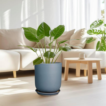 10 Inch Plant Pot - Ceramic Pot for Indoor Plants Outdoor Planter Large Flower Pot with Drainage Hole and Saucer Cylinder Gray